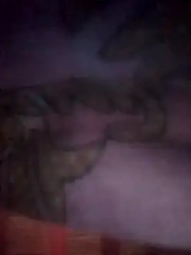 jacka 305 online show from November 26, 2025, 7:59 pm