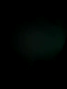 Bebe Ardiente97 online show from November 25, 2025, 1:55 pm