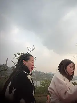 Snapshot of tiantiandao chatting on December 1, 2025, 8:30 am tiantiandao online show from December 1, 2025, 8:30 am