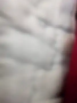 Tayanehot online show from April 12, 2026, 10:31 am