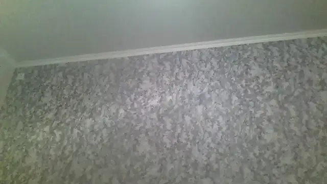 antosha555 online show from November 29, 2025, 6:05 am