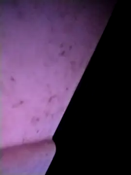 m-mbae online show from February 25, 2026, 12:53 am