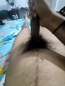 Snapshot of Noxvorlen chatting on November 14, 2025, 7:56 pm Noxvorlen online show from November 14, 2025, 7:56 pm