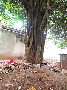 Snapshot of Lucasjandre chatting on November 22, 2025, 10:14 am Lucasjandre online show from November 22, 2025, 10:14 am