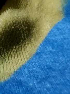 Snapshot of GG23MVP chatting on November 30, 2025, 5:22 am GG23MVP online show from November 30, 2025, 5:22 am