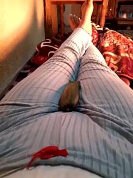 Tota sexi online show from December 4, 2025, 11:30 am