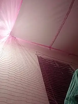 Hor-reka online show from November 23, 2025, 4:51 pm