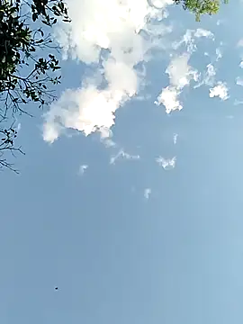 joselo2217 online show from November 25, 2025, 9:15 pm