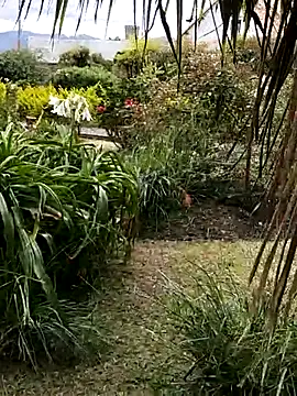 LilyMature x online show from November 27, 2025, 9:06 pm