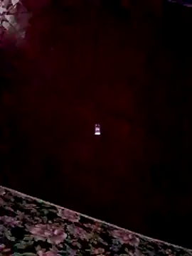 RomiTreats online show from November 26, 2025, 11:33 am