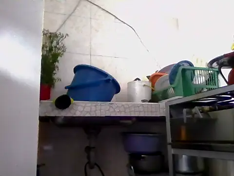 marcelaxxxl online show from November 22, 2025, 11:04 pm