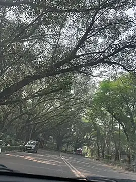 sexyayeshadesi online show from November 20, 2025, 5:29 am