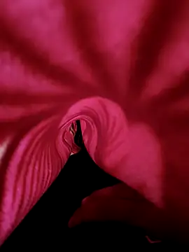 DesiAnita3693 online show from November 21, 2025, 3:38 am