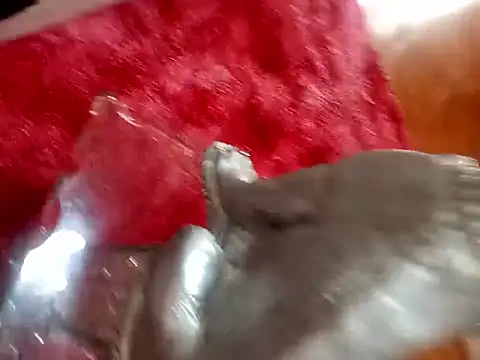 Jeison0323 online show from February 4, 2026, 8:25 pm