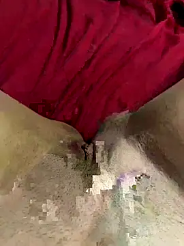 fernandesisa online show from November 23, 2025, 2:00 am