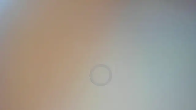 Charlotte Williams 1 online show from November 29, 2025, 12:19 pm