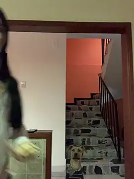 Dannii- online show from April 11, 2026, 10:47 pm