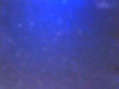 Snapshot of Sweet_dove05 chatting on November 26, 2025, 4:46 am Sweet dove05 online show from November 26, 2025, 4:46 am