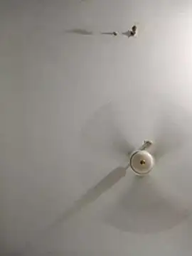 rupamim online show from March 26, 2026, 9:09 pm