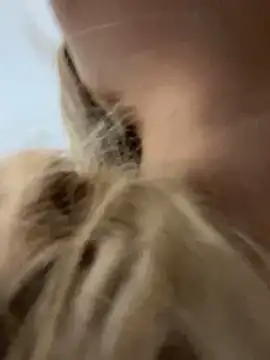 Chloe GraceeX online show from February 2, 2026, 8:40 pm