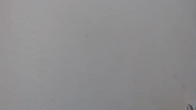 ebony cristal 1 online show from April 20, 2026, 11:13 am