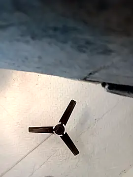 Reema 143 online show from February 19, 2026, 3:35 am