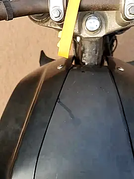 Meow buggie online show from December 23, 2025, 2:53 am