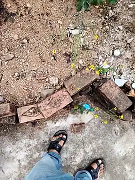 apka rockstarr online show from January 8, 2026, 6:37 am