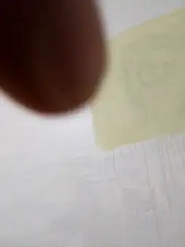 paoandjoe1010 online show from November 22, 2025, 11:42 am