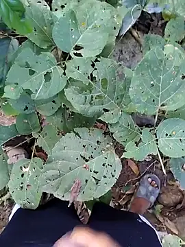 desi alpha boy online show from January 17, 2026, 1:54 am