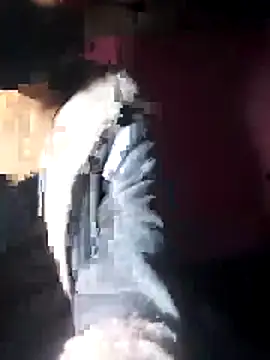 beba1100 online show from November 30, 2025, 4:11 pm