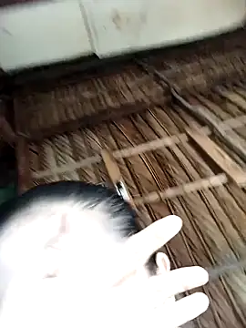 Lin-kute98 online show from February 9, 2026, 12:58 am