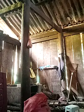 Snapshot of Lily-ross22 chatting on November 25, 2025, 5:07 am Lily-ross22 online show from November 25, 2025, 5:07 am