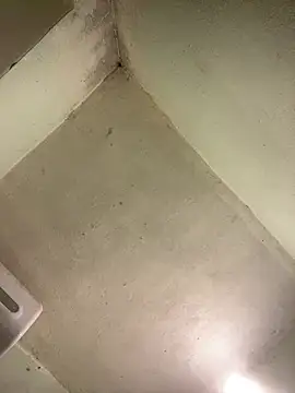 muti99 online show from February 27, 2026, 12:16 pm