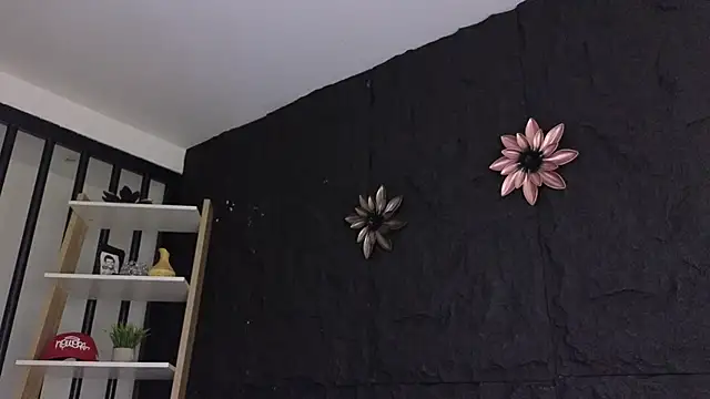 Paulo 527 online show from January 8, 2026, 9:06 pm