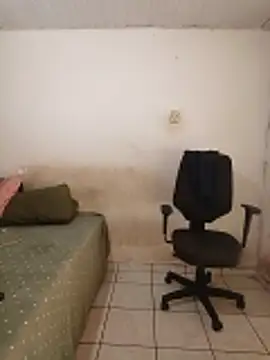 theyllorwillian online show from February 20, 2026, 1:11 pm