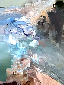 Snapshot of Harry254238 chatting on January 15, 2026, 5:38 pm Harry254238 online show from January 15, 2026, 5:38 pm