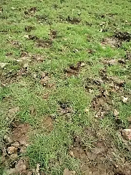 88zaifkhan88 online show from March 20, 2026, 11:04 am