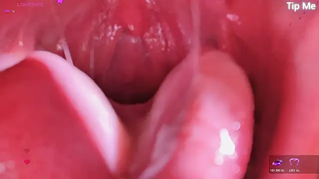 LT-333 online show from April 17, 2026, 5:05 pm