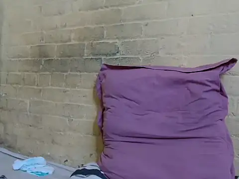 Snapshot of Arialsirean chatting on December 3, 2025, 4:53 am Arialsirean online show from December 3, 2025, 4:53 am