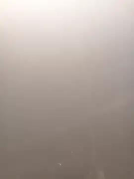 Shivani555 online show from December 1, 2025, 11:15 am