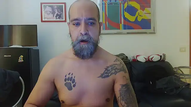 AMIRDIB2025 online show from June 15, 2026, 1:57 pm