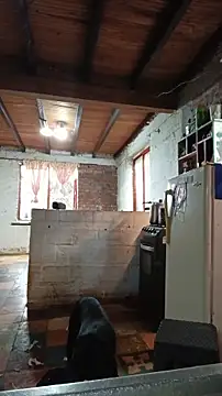 ChanneldelaCroix online show from February 20, 2026, 7:25 pm