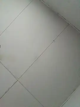 losangelesaid online show from December 4, 2025, 12:47 pm