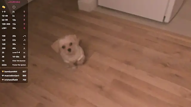 MePretty online show from March 23, 2025, 12:58 am