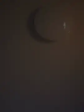 DutchMiracle26 online show from April 28, 2026, 11:10 pm