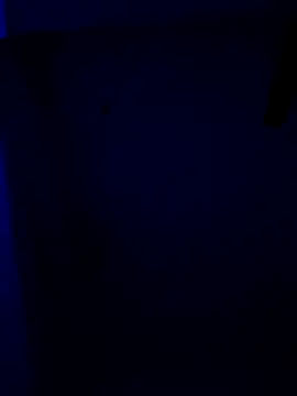 RADHIKA-1143 online show from December 23, 2025, 2:31 am