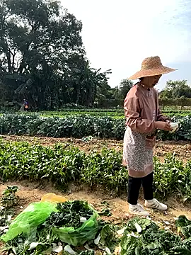 A-ZJunn online show from January 12, 2026, 6:18 am