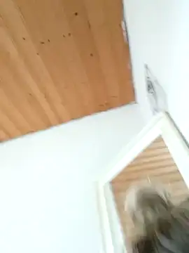 Milas Dreams OF online show from December 15, 2025, 8:40 am