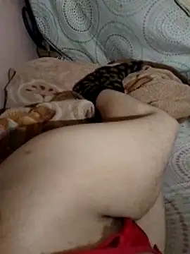 Almas-arabic online show from April 20, 2026, 11:39 pm